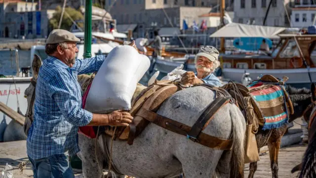 Keledai menjadi transportasi utama di Hydra