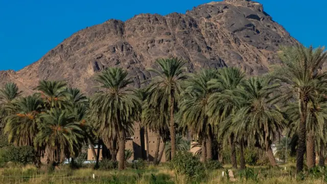 নাজরানের মরূদ্যান