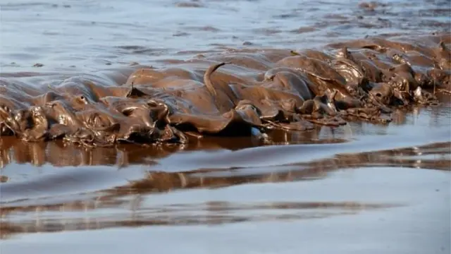 แม่รำพึง