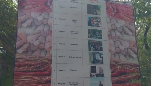 అక్రమ రవాణా విధానాలు