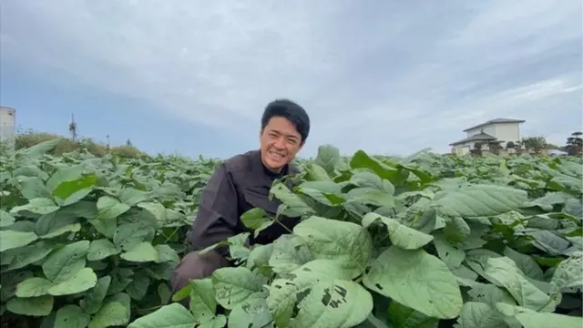 Miyazaki mulai menanam kedelai tsukui sekitar awal tahun 2020 lalu.