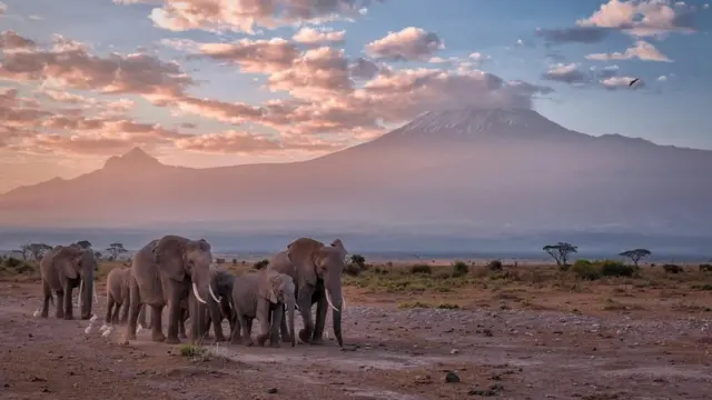 kili
