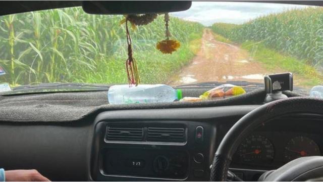 A view out of a car windscreen shows a dirt track running through cornfields