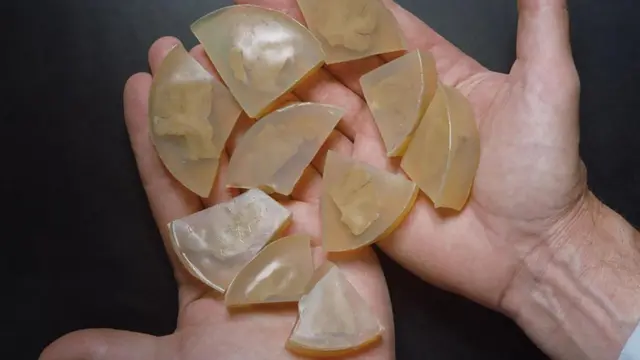 Мозок Ейнштейна