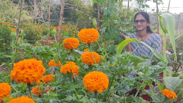 అర్బన్ ఎకో ఫార్మింగ్