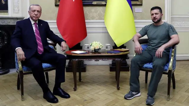 Erdoğan ve Zelenskiy