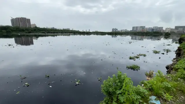 मिठी नदी