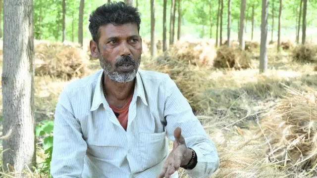 ਬੁੱਧ ਪਾਲ