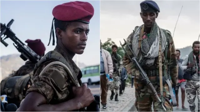 ወተሃደር ኢትዮጵያ (ፀጋም) ፤ ኣባል ሰራዊት ትግራይ (የማን