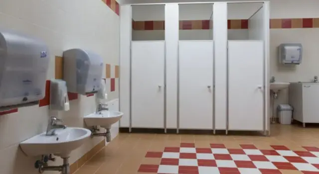 
तज्ज्ञ आर्किटेक्ट म्हणतात की अशा शौचालयांचा बांधकाम खर्च कमी असतो आणि त्यांचं बांधकाम वेगानं पूर्ण करता येतं