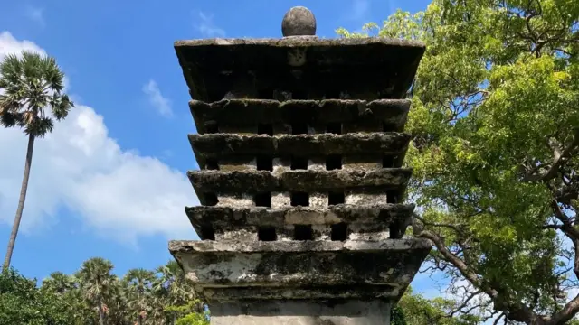 පණිවුඩ යැවීම සඳහා යොදාගත් පරවියන් රඳවා තිබූ පරවි කූඩුව 