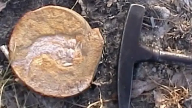 ماهی های کشف شده در کیمبرلی کاملا در دل سنگ ها محفوظ مانده اند