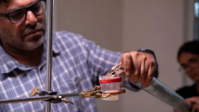 ஜெர்ரி மார்ட்டின்