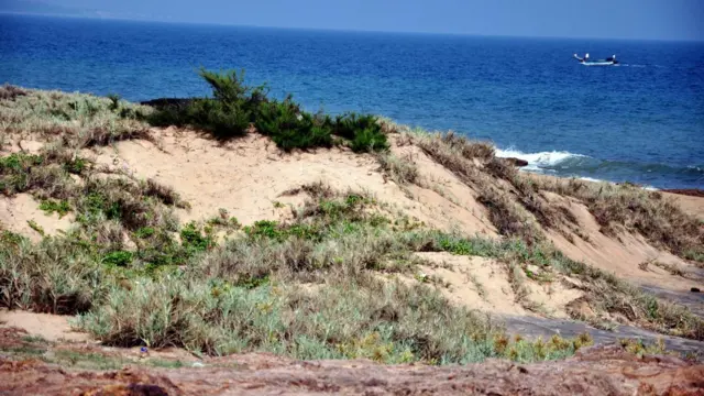 ఖనిజాలు, రేర్ ఎర్త్స్, మూలకాలు, ఆంధ్రప్రదేశ్, తమిళనాడు, కేరళ