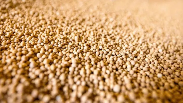 কৃষি উৎপাদন বাড়াতে ভর্তুকি মূল্যে সার এবং কৃষি উপকরণ সরবরাহ করে থাকে সরকার