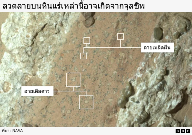 Graphic showing a close-up view of the rocks on Mars, with annotated labels to describe the leopard print and poppy seed nicknames