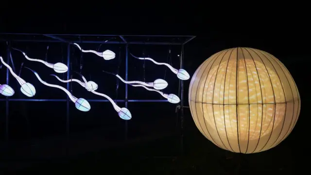 Lentera bercahaya yang menggambarkan sperma yang sedang membuahi sel telur