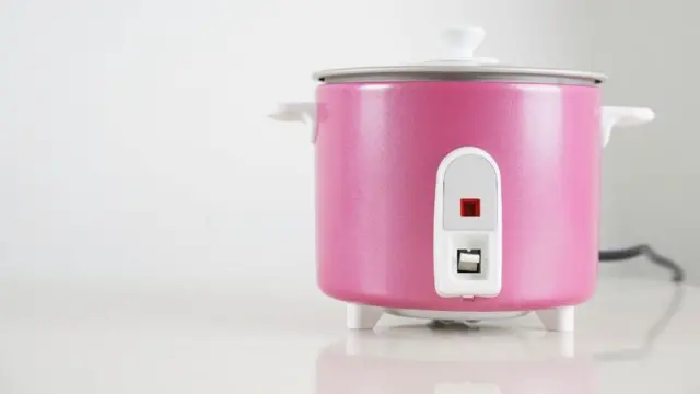 ਇਲੈਕਟ੍ਰਿਕ ਰਾਈਸ ਕੁਕਰ