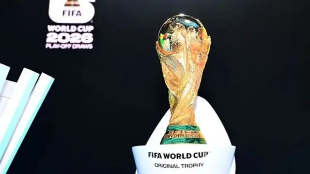 فیفا ورلڈ کپ