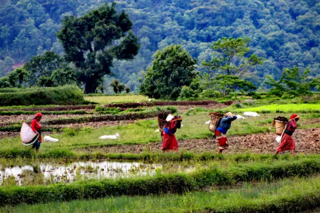पोखरामा मल बोल्दै महिलाहरू