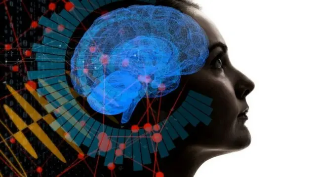 Représentation des neurones.