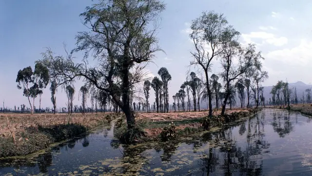 ஆஸ்டெக் பழங்குடியினரின் மிதக்கும் தோட்டங்கள்