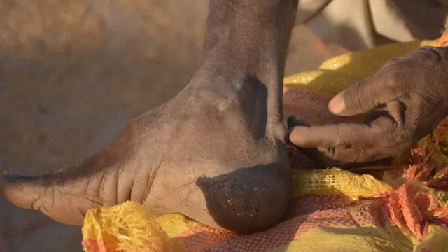 غلام نبی کوری