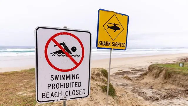 Un letrero que dice que la playa está cerrada y otro que avisa sobre el avistamiento de un tiburón. Ambos están en la arena de una playa de Australia. 