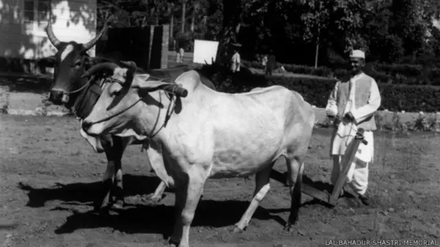 लाल बहादुर शास्त्री