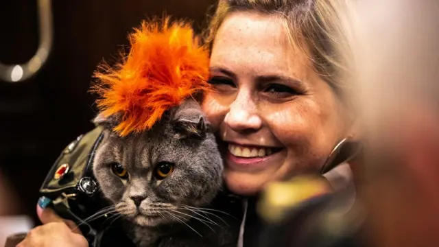 Thunder Folds Cat, dressed inspired by Funk