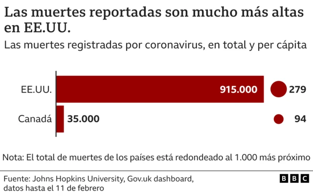 Gráfico muestra las muertes reportadas