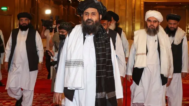 Irbit turli jinsiy aloqa Katta mushuk yaqindan