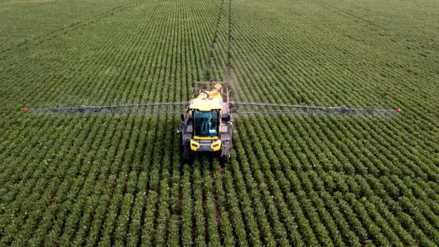 Un campo de soja en Argentina