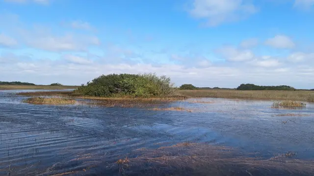 Everglades