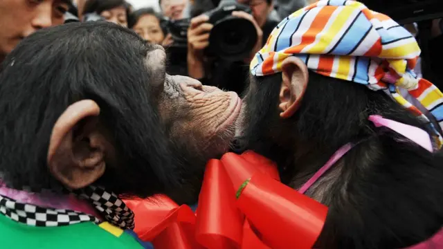 પ્રતિકાત્મક તસ્વીર