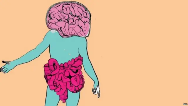 ਬੈਕਟੀਰੀਆ