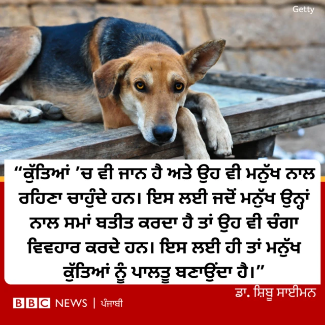 ਬੀਬੀਸੀ