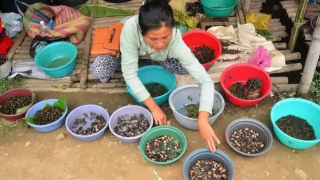 નાગાલૅન્ડની એક મહિલા