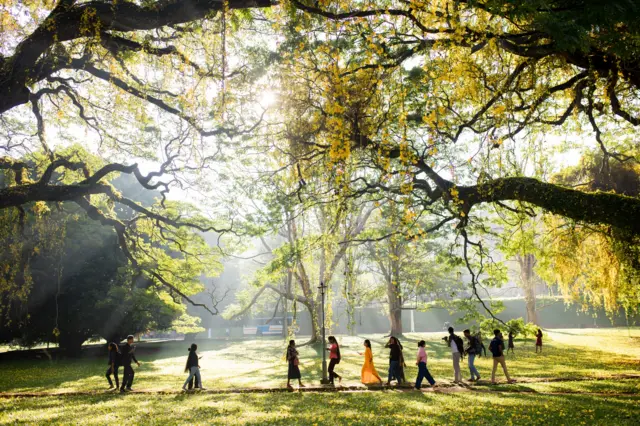 හන්තාන සිසිලස විදින පේරාදෙණිය සරසවියට පසුගිය දිනවල දී රන්වන් පැහැයෙන් නැහැවෙන වසන්තය උදා වී තිබුණි. 