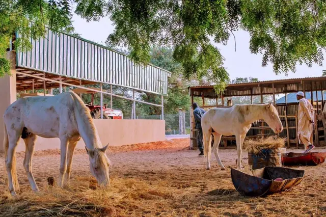 Buhari eid