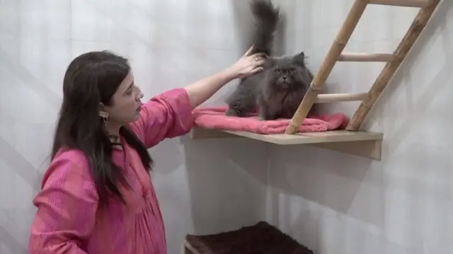 تانیا تاجیک