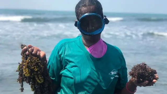 மீனவப் பெண்களின் வாழ்க்கை