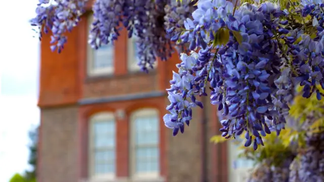 Зажиточный городок Ист-Гринстед может похвастаться не только архитектурным наследием, но и на редкость умиротворяющими пейзажами