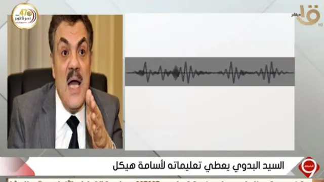 السيد البدوي رئيس حزب الوفد السابق