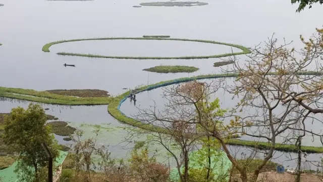 पर्यावरण