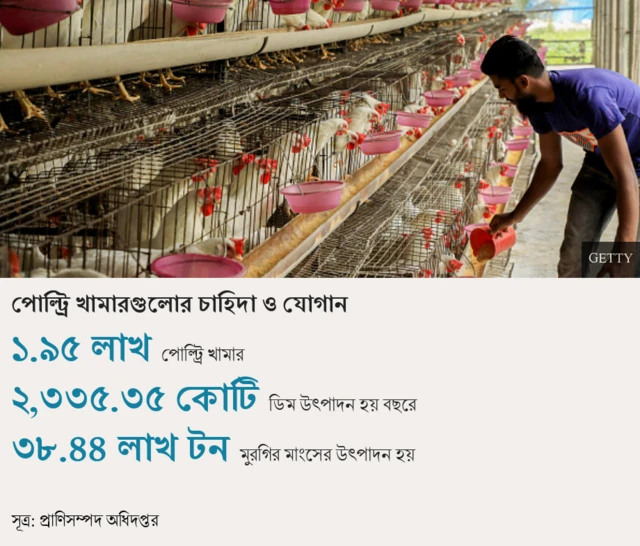 পোল্ট্রি খামারগুলোর চাহিদা ও যোগান