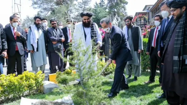 وانگ یی وزیر خارجه چین در حال کاشت نهال در محوطه وزارت خارجه افغانستان