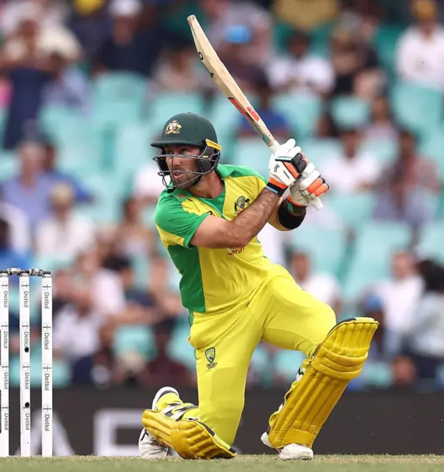 क्रिकेट