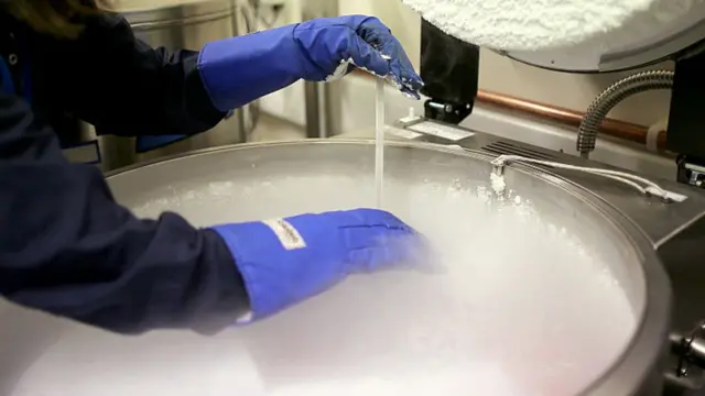 પ્રતીકાત્મક તસવીર