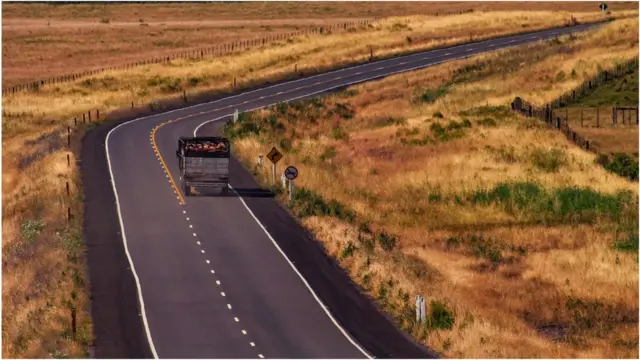 乌拉圭的塔夸伦博位于拉丁美洲南部潘帕斯草原,以饲养优质牛而闻名。